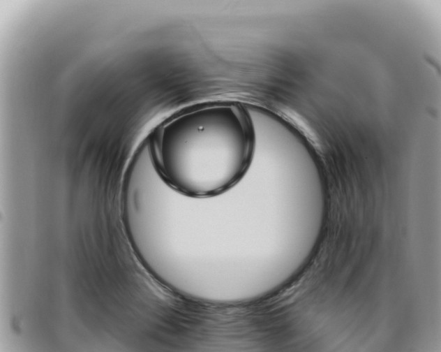 X0000095931324200801181431