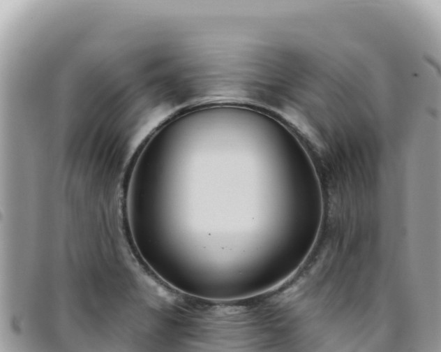 X0000095931325200801181431