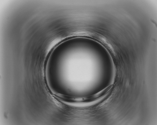 X0000095931328200801181431