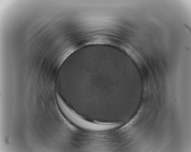X0000095931329200801181431