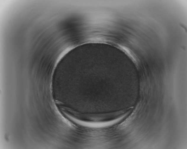 X0000095931331200801181431