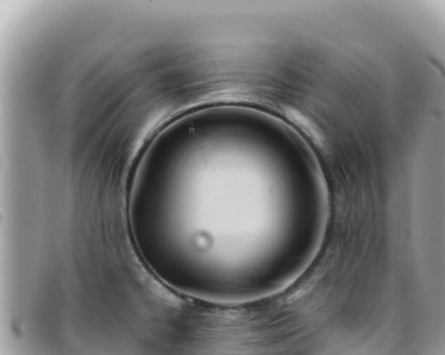 X0000095931334200801181431