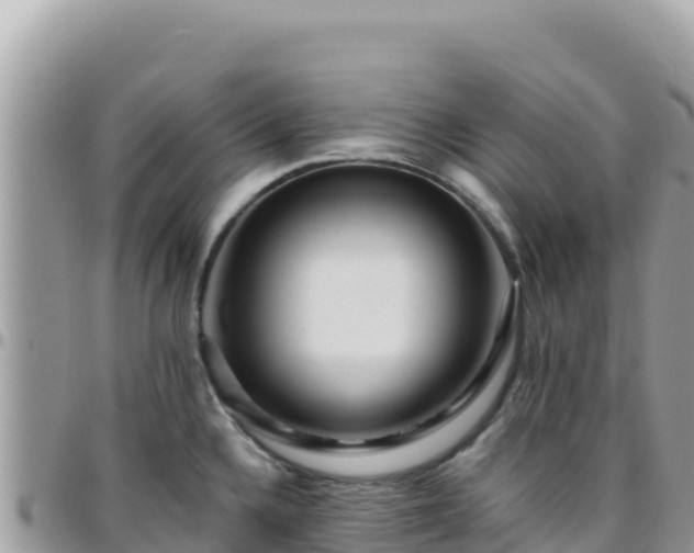 X0000095931336200801181431