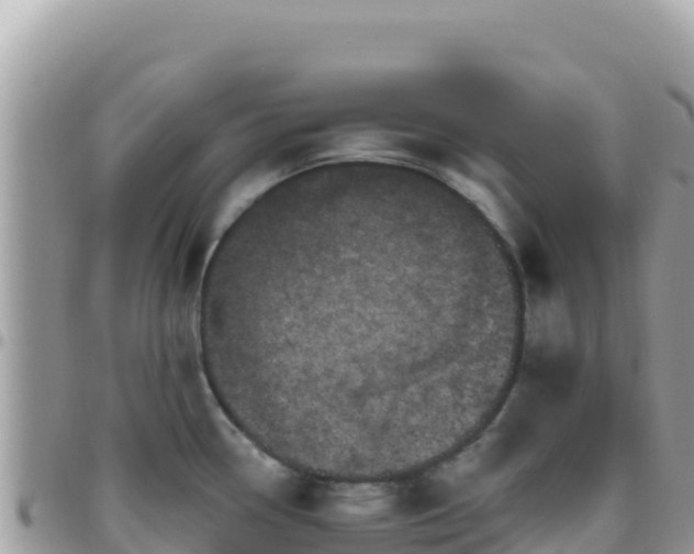 X0000095931338200801181431