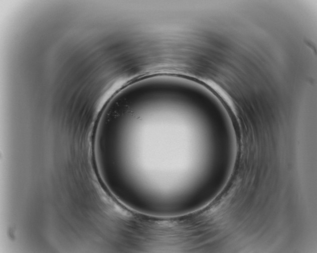 X0000095931341200801181431