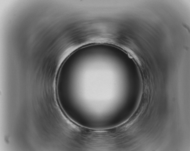 X0000095931343200801181431