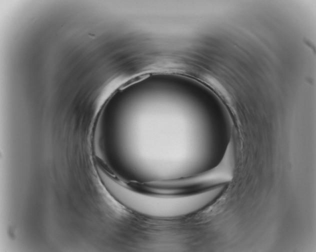 X0000095931344200801181431