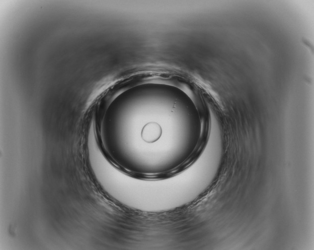 X0000095931352200801181431