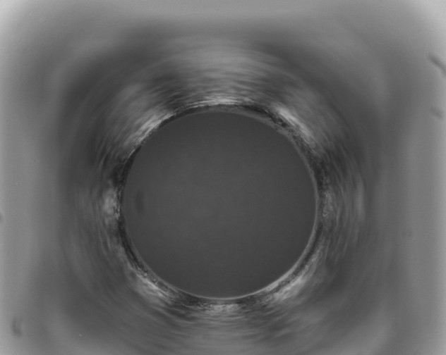 X0000095931353200801181431