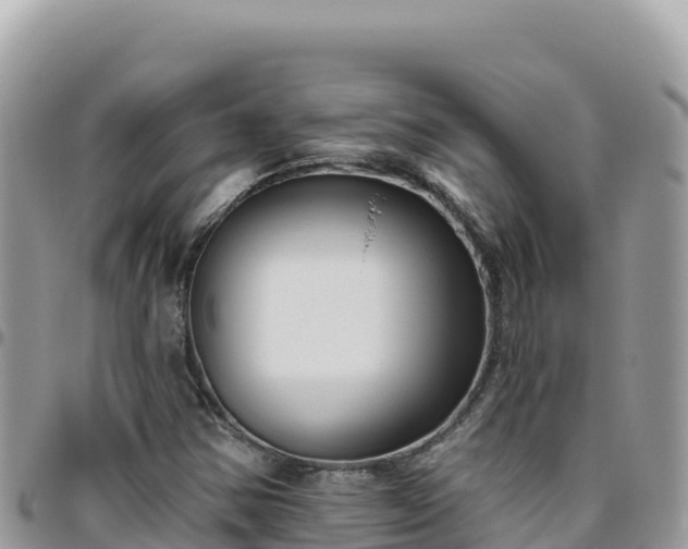 X0000095931354200801181431