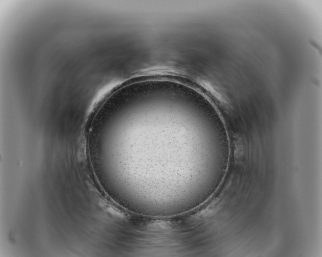 X0000095931358200801181430