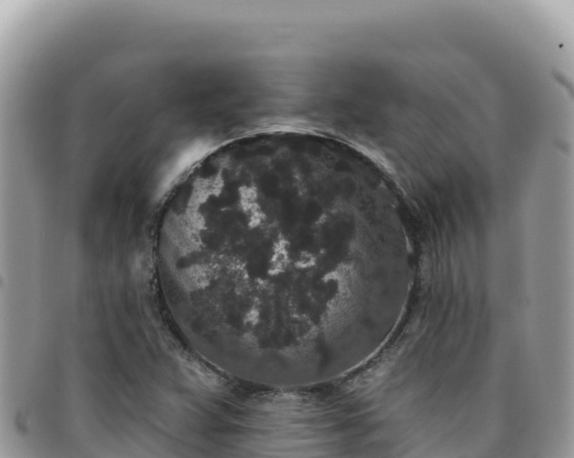 X0000095931359200801181430