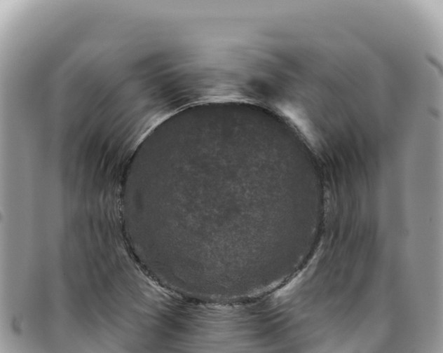 X0000095931361200801181430