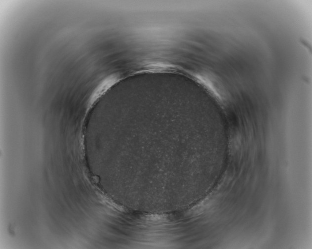X0000095931362200801181430