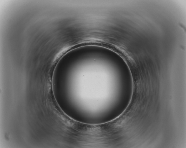 X0000095931363200801181430
