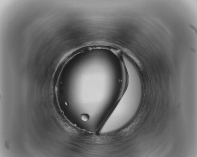 X0000095931364200801181430