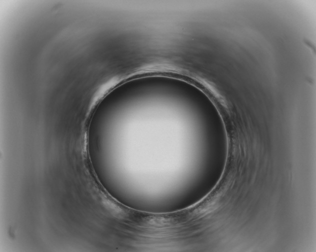 X0000095931366200801181430