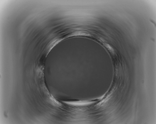 X0000095931369200801181430