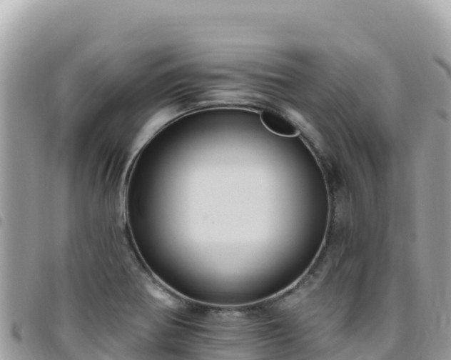 X0000095931370200801181430