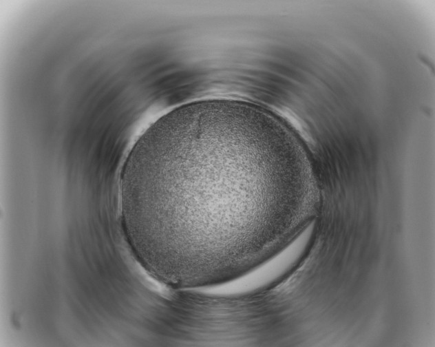 X0000095931371200801181430