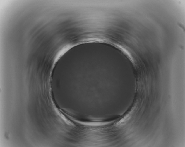 X0000095931373200801181430