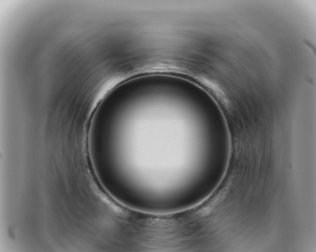 X0000095931374200801181430