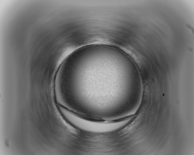 X0000095931375200801181430