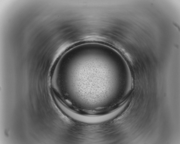 X0000095931376200801181430