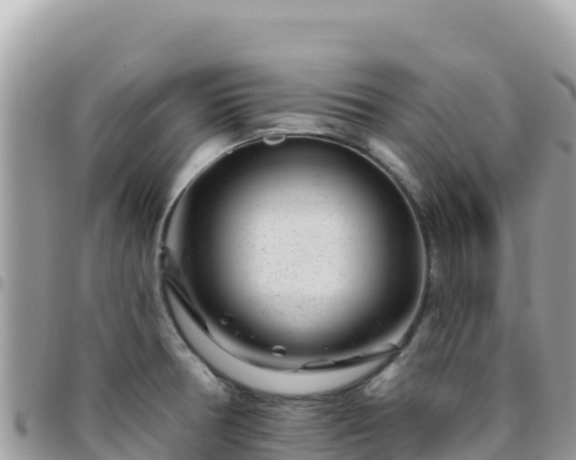 X0000095931378200801181430