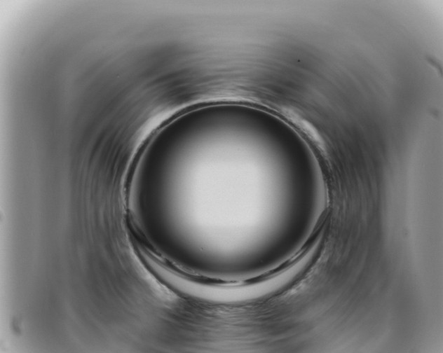 X0000095931380200801181430