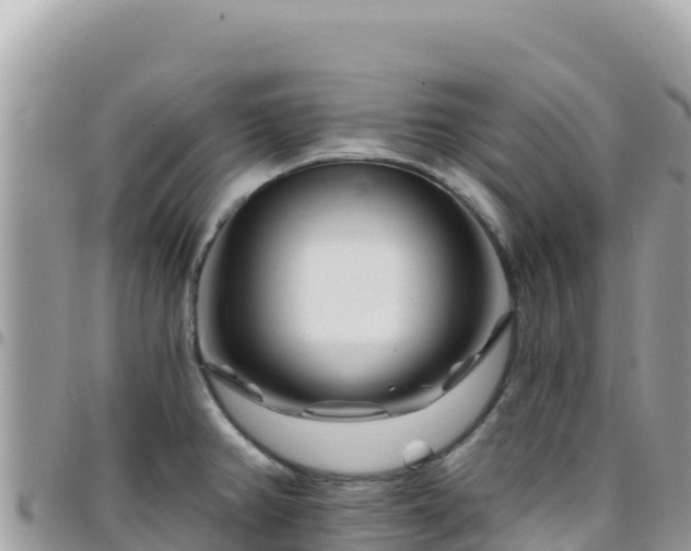 X0000095931382200801181430