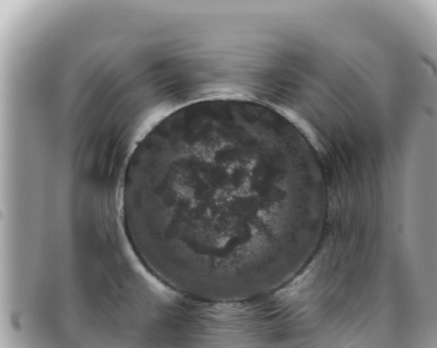 X0000095931383200801181430