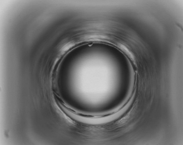 X0000095931384200801181430