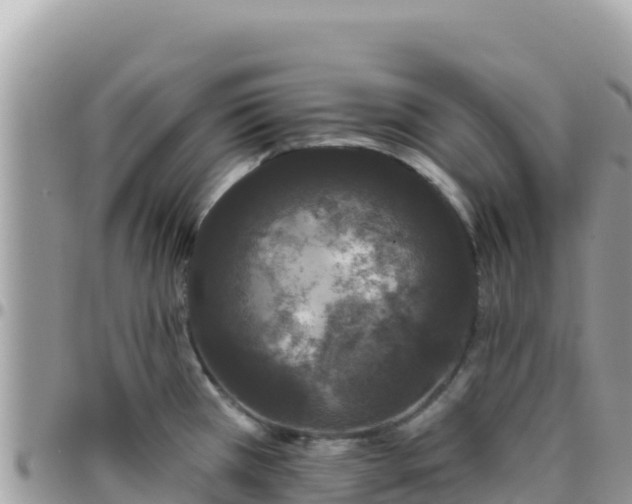 X0000095931385200801181430