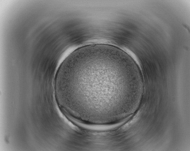 X0000095931389200801181430