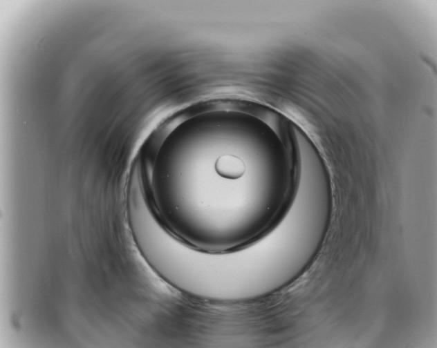X0000095931392200801181430