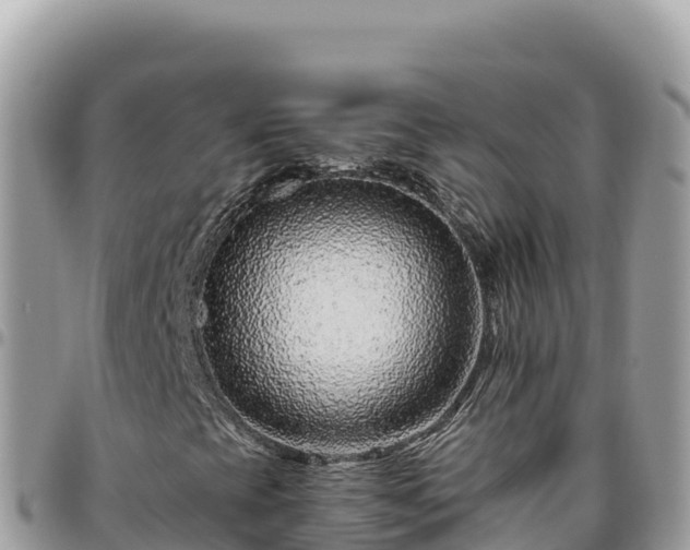 X0000095931393200801181429