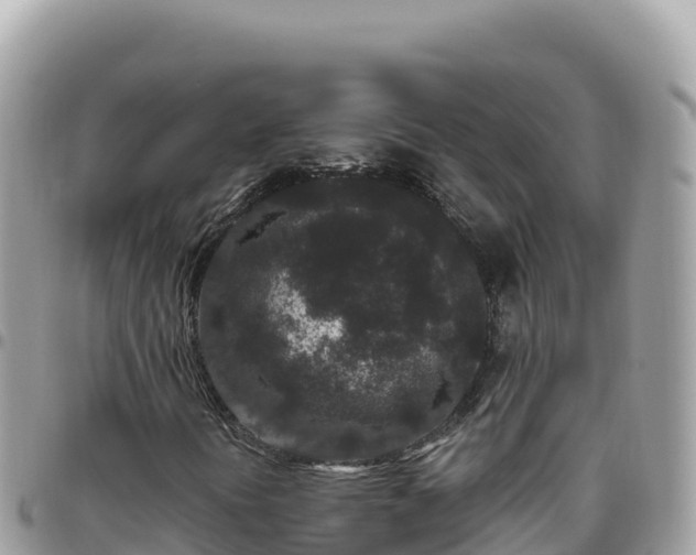 X0000095931394200801181429