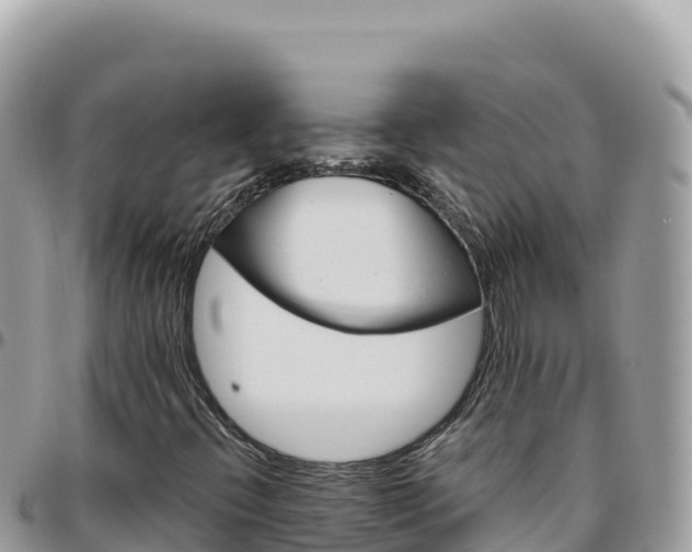 X0000095931396200801181429