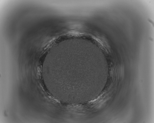 X0000095931397200801181429