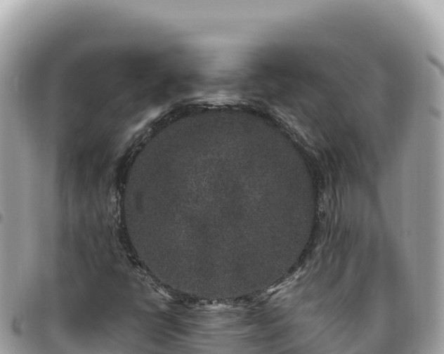 X0000095931398200801181429