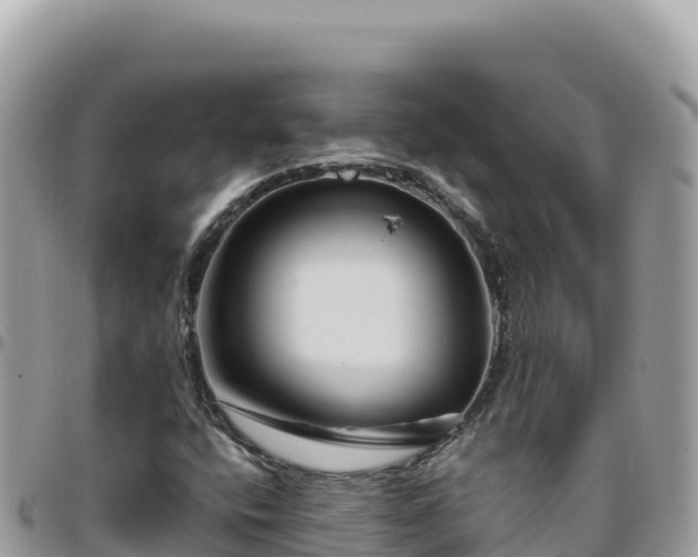 X0000095931400200801181429