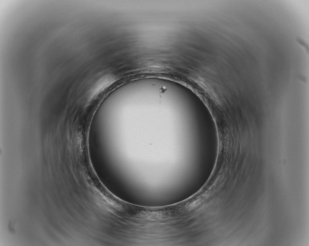 X0000095931402200801181429