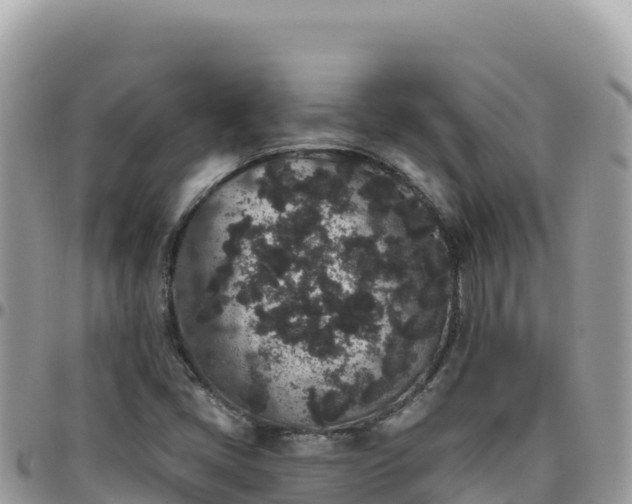 X0000095931405200801181430