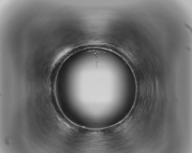 X0000095931406200801181430
