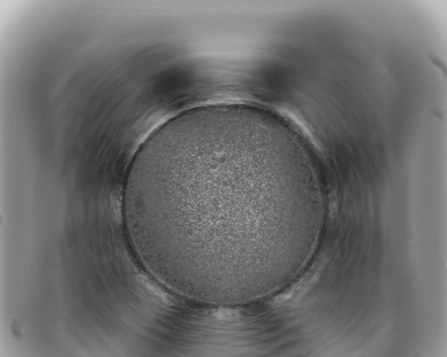 X0000095931409200801181430