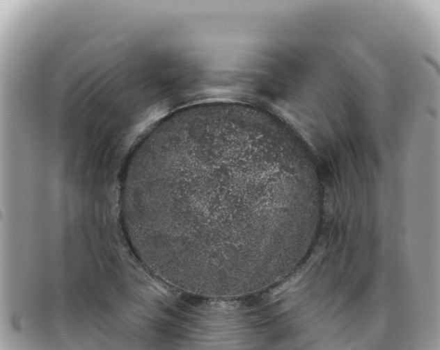X0000095931411200801181430
