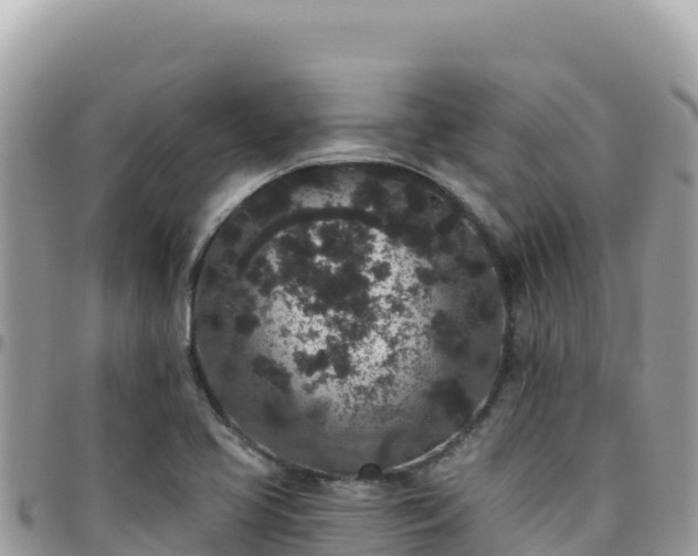 X0000095931413200801181430