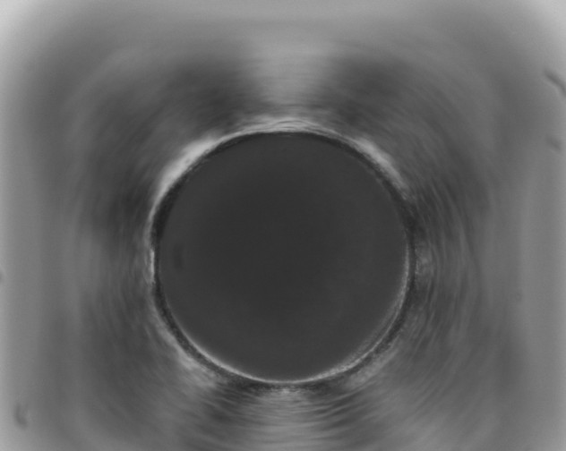 X0000095931414200801181430