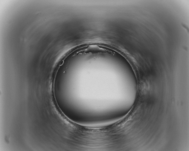 X0000095931416200801181430